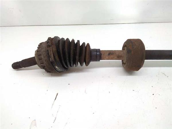 FUELLE ROTO Transmision Delantera Derecha Renault Clio 1884001 PIZ/781/19/ea/1884001/19eae297-1470-4b82-b0d6-1a00e3ebb9d3.jpg FUELLE ROTO Transmision Delantera Derecha Renault Clio 1884001 PIZ/781/19/ea/1884001/19eae297-1470-4b82-b0d6-1a00e3ebb9d3.jpg