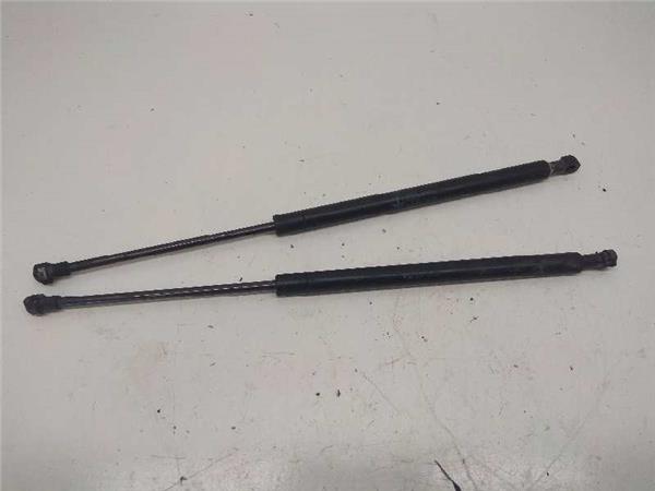 9629618980 Amortiguador Capo Citroen XSARA 1571658 PIZ/781/1f/3c/1571658/1f3c60bf-9854-4a5e-9702-dd07a070bd2e.jpg 9629618980 Amortiguador Capo Citroen XSARA 1571658 PIZ/781/1f/3c/1571658/1f3c60bf-9854-4a5e-9702-dd07a070bd2e.jpg