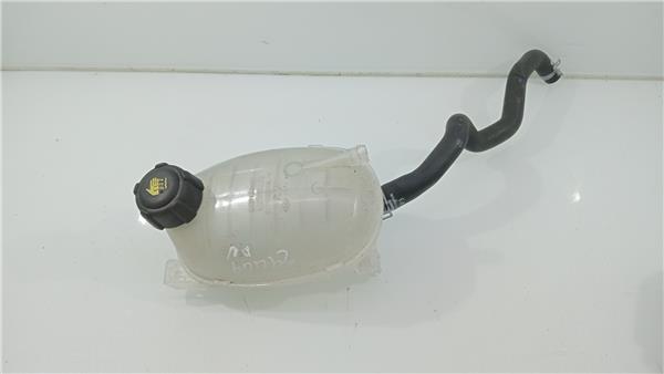 217102572R Botella Expansion Renault Captur 2704066 PIZ/781/21/84/2704066/218400fb-c0a6-4033-9726-456479589b41.jpg 217102572R Botella Expansion Renault Captur 2704066 PIZ/781/21/84/2704066/218400fb-c0a6-4033-9726-456479589b41.jpg