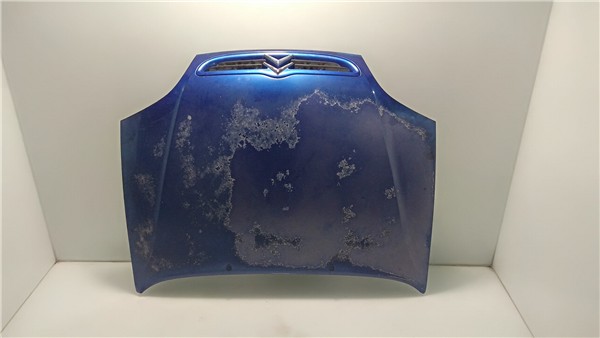 AZUL Capo Citroen SAXO 2374033 PIZ/781/4b/31/2374033/4b313cad-a4ba-490f-ba13-7599cf7d2c56.jpg AZUL Capo Citroen SAXO 2374033 PIZ/781/4b/31/2374033/4b313cad-a4ba-490f-ba13-7599cf7d2c56.jpg