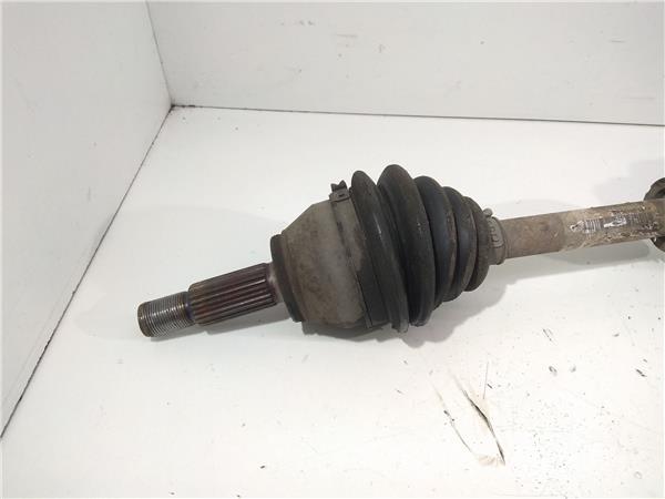 SIN DEFINIR Transmision Delantera Derecha Ford Fiesta 2097581 PIZ/781/57/63/2097581/5763d290-1c2a-49ca-aa93-7a405337b440.jpg SIN DEFINIR Transmision Delantera Derecha Ford Fiesta 2097581 PIZ/781/57/63/2097581/5763d290-1c2a-49ca-aa93-7a405337b440.jpg