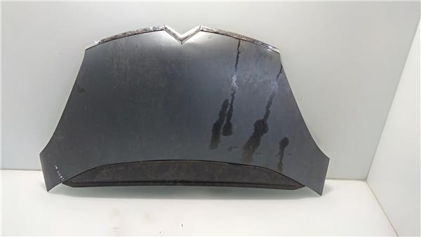 capo citroen grand c4 picasso 102006