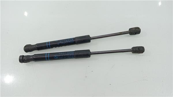 5123723923306 Amortiguador Capo BMW Serie 1 2678534 PIZ/781/72/60/2678534/7260cf51-1d4c-40c1-b6fd-ce81357cc5c3.jpg 5123723923306 Amortiguador Capo BMW Serie 1 2678534 PIZ/781/72/60/2678534/7260cf51-1d4c-40c1-b6fd-ce81357cc5c3.jpg