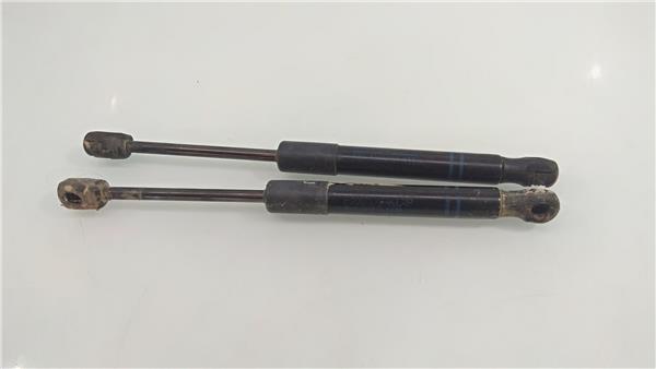 51237239233 Amortiguador Capo BMW Serie 1 2573926 PIZ/781/81/6b/2573926/816b2842-d4ab-41c7-9731-3312c0e8509e.jpg 51237239233 Amortiguador Capo BMW Serie 1 2573926 PIZ/781/81/6b/2573926/816b2842-d4ab-41c7-9731-3312c0e8509e.jpg
