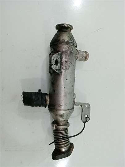 9639874309 Enfriador Gases Egr Peugeot 307 2742953 PIZ/781/84/6e/2742953/846e5a4d-7114-44c0-808a-4e021f7287ff.jpg 9639874309 Enfriador Gases Egr Peugeot 307 2742953 PIZ/781/84/6e/2742953/846e5a4d-7114-44c0-808a-4e021f7287ff.jpg