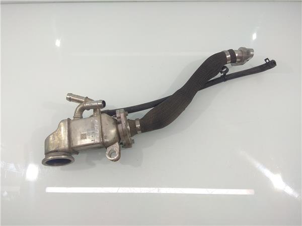 JN1Q9F464AA Enfriador Gases Egr Ford Focus 2184219 PIZ/781/92/fb/2184219/92fb964f-7f94-4e72-a181-8aab421fa736.jpg JN1Q9F464AA Enfriador Gases Egr Ford Focus 2184219 PIZ/781/92/fb/2184219/92fb964f-7f94-4e72-a181-8aab421fa736.jpg