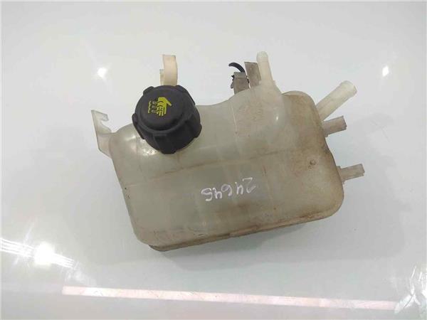 217100005R Botella Expansion Renault Scenic 2166212 PIZ/781/98/c2/2166212/98c2ac8d-8c2d-4b9b-bf0a-d63b52dd9da7.jpg 217100005R Botella Expansion Renault Scenic 2166212 PIZ/781/98/c2/2166212/98c2ac8d-8c2d-4b9b-bf0a-d63b52dd9da7.jpg