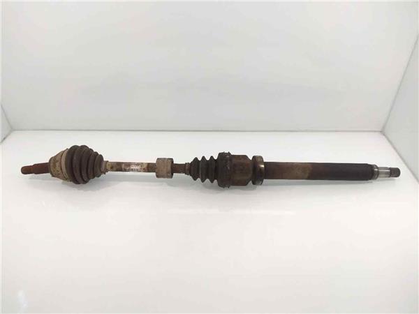 8V513B436HB Transmision Delantera Derecha Ford FIESTA 1782954 PIZ/781/ac/14/1782954/ac14af29-4a21-44b1-ad58-617cbaf34b07.jpg 8V513B436HB Transmision Delantera Derecha Ford FIESTA 1782954 PIZ/781/ac/14/1782954/ac14af29-4a21-44b1-ad58-617cbaf34b07.jpg