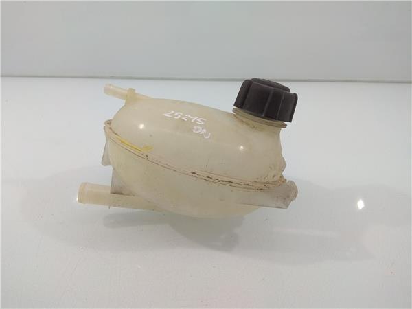 217107259R Botella Expansion Dacia Logan 2295217 PIZ/781/b1/ce/2295217/b1cee5d9-a646-47c2-8978-c93d030d897e.jpg 217107259R Botella Expansion Dacia Logan 2295217 PIZ/781/b1/ce/2295217/b1cee5d9-a646-47c2-8978-c93d030d897e.jpg