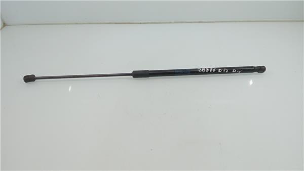 4KE823359 Amortiguador Capo Audi e-tron 2611373 PIZ/781/c5/19/2611373/c51991cf-97c2-469a-a3a3-966ddba19a7b.jpg 4KE823359 Amortiguador Capo Audi e-tron 2611373 PIZ/781/c5/19/2611373/c51991cf-97c2-469a-a3a3-966ddba19a7b.jpg