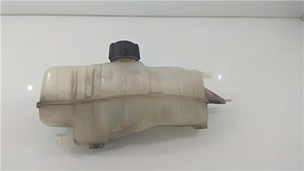 SIN DEFINIR Botella Expansion Nissan Note 2415234 PIZ/781/c7/c3/2415234/c7c36120-64bd-4578-a6cc-7b8972e6029a.jpg SIN DEFINIR Botella Expansion Nissan Note 2415234 PIZ/781/c7/c3/2415234/c7c36120-64bd-4578-a6cc-7b8972e6029a.jpg