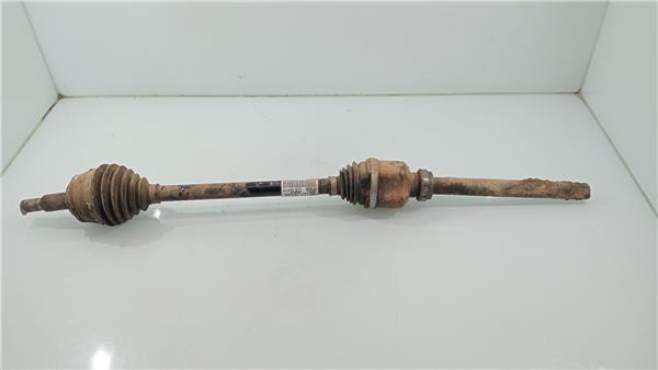 9811176480 Transmision Delantera Derecha Peugeot 308 2345120 PIZ/781/ca/52/2345120/ca52383a-378a-425f-aa9b-653e0ff6e3d7.jpg 9811176480 Transmision Delantera Derecha Peugeot 308 2345120 PIZ/781/ca/52/2345120/ca52383a-378a-425f-aa9b-653e0ff6e3d7.jpg