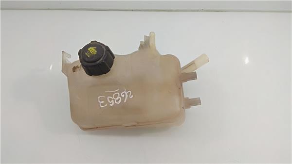 217100005R Botella Expansion Renault MEGANE 2405364 PIZ/781/d1/43/2405364/d1431eed-7a33-43e3-ae0c-63a9f74034e2.jpg 217100005R Botella Expansion Renault MEGANE 2405364 PIZ/781/d1/43/2405364/d1431eed-7a33-43e3-ae0c-63a9f74034e2.jpg