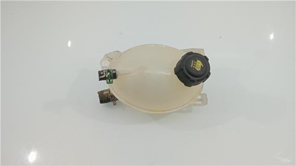217107259R Botella Expansion Dacia Lodgy 2607492 PIZ/781/d9/bd/2607492/d9bd51c4-7fe1-4aa6-8303-2f2f960369bc.jpg 217107259R Botella Expansion Dacia Lodgy 2607492 PIZ/781/d9/bd/2607492/d9bd51c4-7fe1-4aa6-8303-2f2f960369bc.jpg