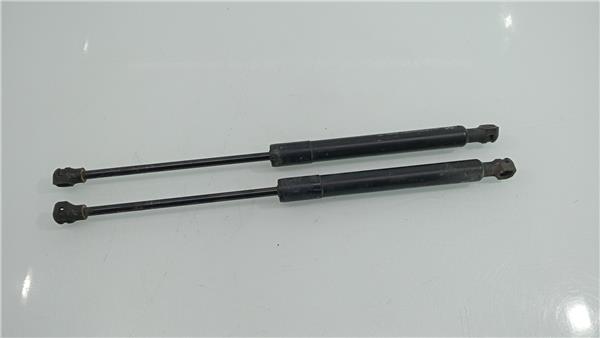 654706489R Amortiguador Capo Renault Kangoo 2608826 PIZ/781/e9/f0/2608826/e9f0e410-e2e5-464c-a16c-1dd0a8936362.jpg 654706489R Amortiguador Capo Renault Kangoo 2608826 PIZ/781/e9/f0/2608826/e9f0e410-e2e5-464c-a16c-1dd0a8936362.jpg