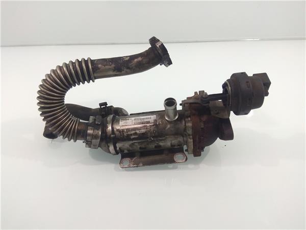 8200873678 Enfriador Gases Egr Renault TRAFIC 2145273 PIZ/781/f7/24/2145273/f724a489-96fb-419b-9f9b-bb21a1d1c514.jpg 8200873678 Enfriador Gases Egr Renault TRAFIC 2145273 PIZ/781/f7/24/2145273/f724a489-96fb-419b-9f9b-bb21a1d1c514.jpg