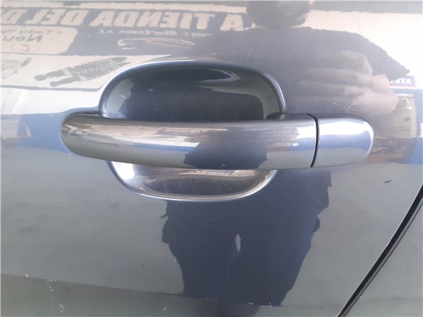 maneta exterior delantera izquierda seat ibiz