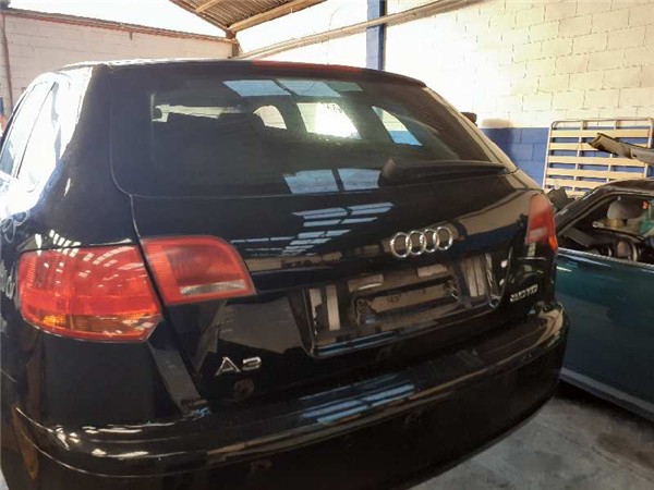 porton trasero audi a3 sportback 8pa 092004
