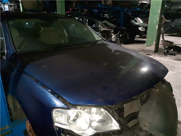 capo volkswagen passat berlina 3c2 2005 20 s