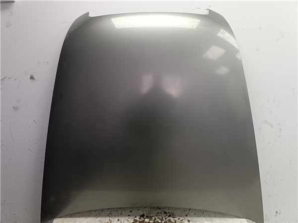 capo audi a6 berlina 4f2 2004 20 tdi 20 ltr