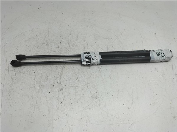 amortiguador porton renault clio iv 2012 15