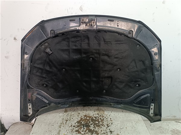 capo volkswagen passat berlina (3c2)(2005 >) *