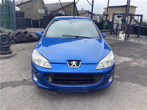 capo peugeot 407 (2004 >) 1.6 confort [1,6 ltr.   80 kw hdi fap cat (9hz / dv6ted4)]