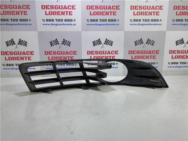 Rejilla Paragolpes Delantero Passat