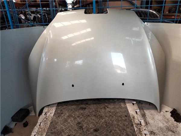 capo peugeot 407 (2004 >) *