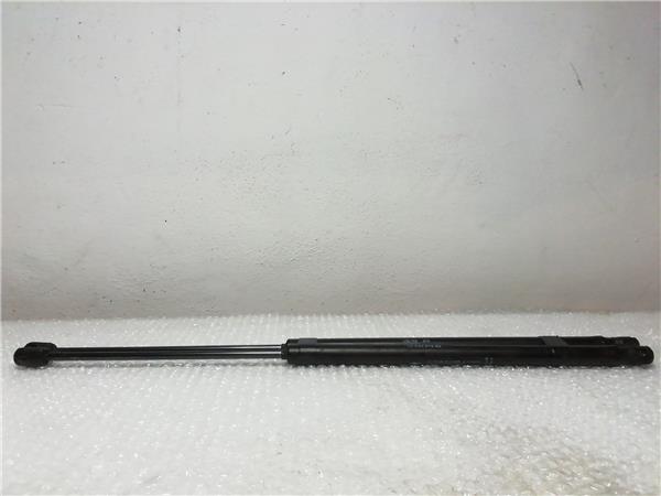 amortiguador porton peugeot 1007 2005 14 urb