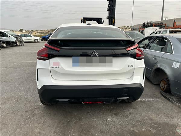 NUEVO C4 BLUE (81 KW) Caudalimetro