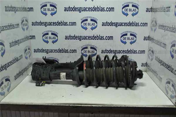 FREELANDER LN Amortiguador Delantero Completo