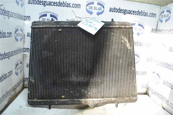 407 Radiador