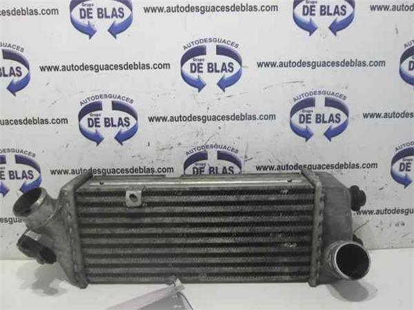 RIO Intercooler