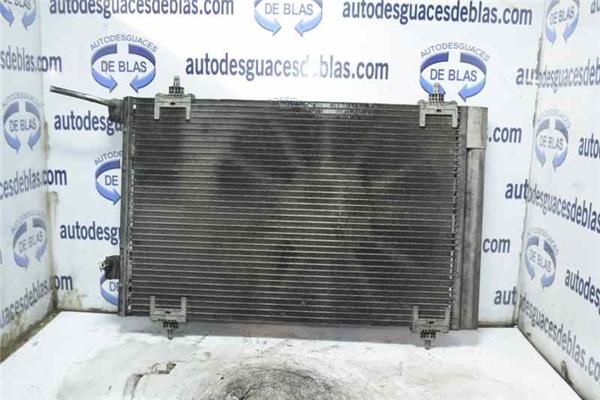 307 BREAKSW S2 Condensador
