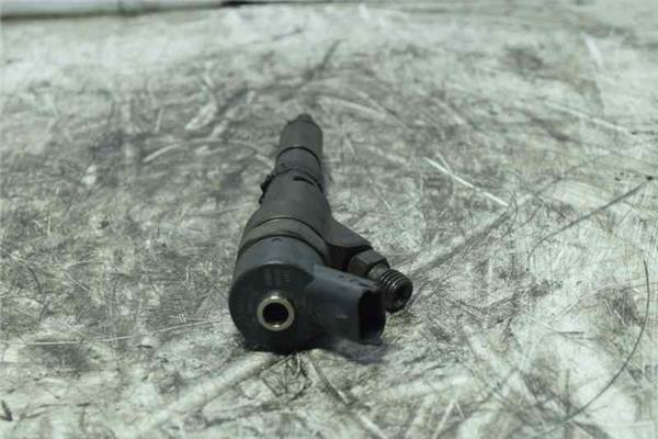 307 S1 Inyector