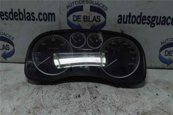307 S1 Cuadro Completo