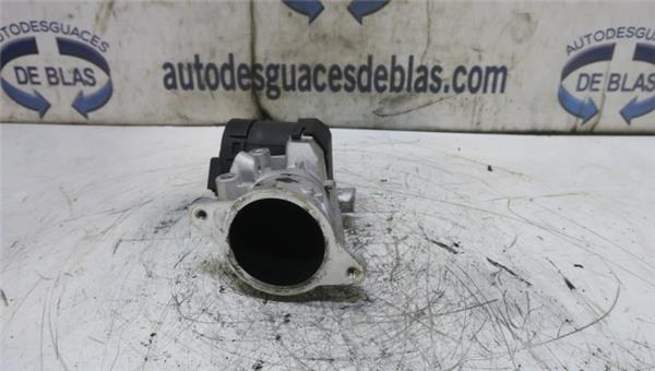 Grand C4 Picasso 10.2006- Egr
