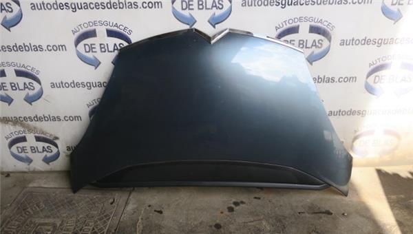 Grand C4 Picasso 10.2006- Capo