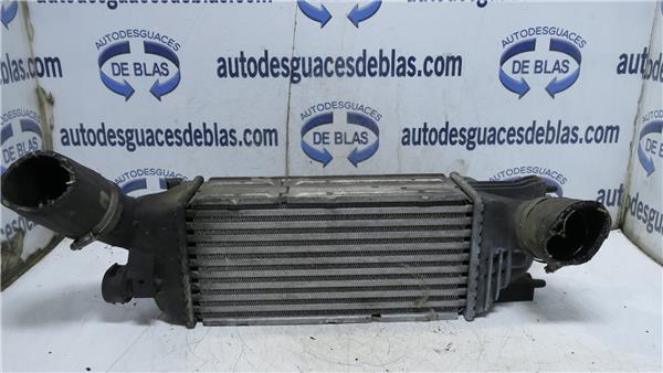 407 Intercooler