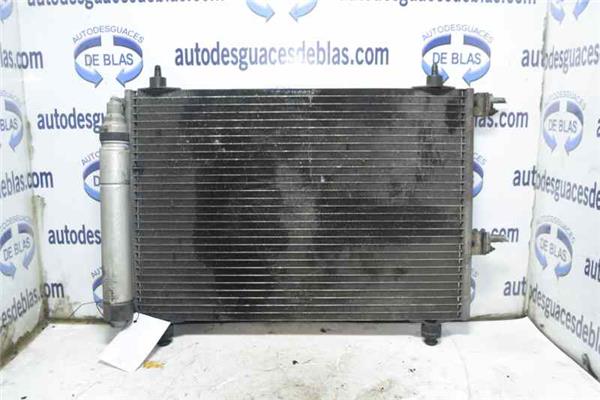 307 BREAK SW S1 Condensador
