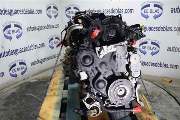 307 S1 Motor Completo