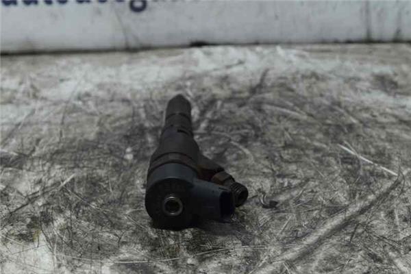 307 S1 Inyector