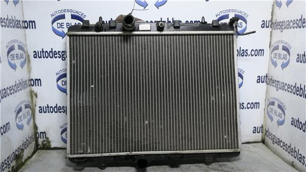207 Radiador