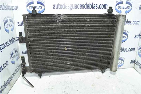 607 S1 Condensador
