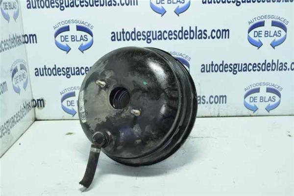 X5 E53 Servofreno