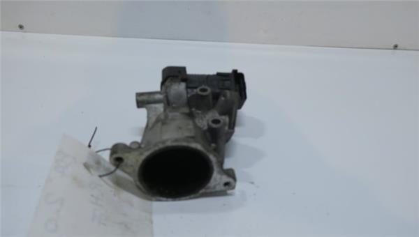 Grand C4 Picasso 10.2006- Egr