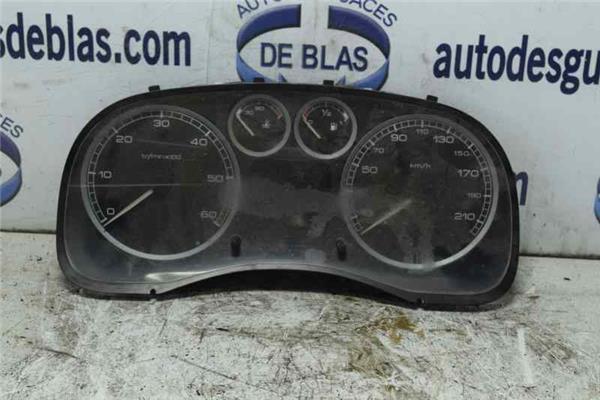 307 S1 Cuadro Completo