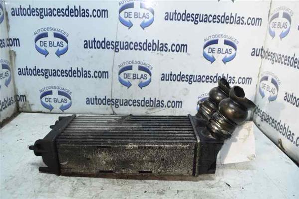 307 BREAKSW S2 Intercooler