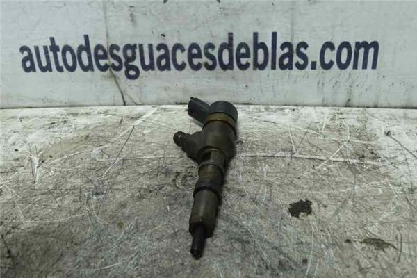 307 S1 Inyector